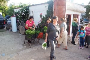 Community Garden harvest