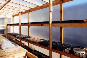 Community Garden growing shelves